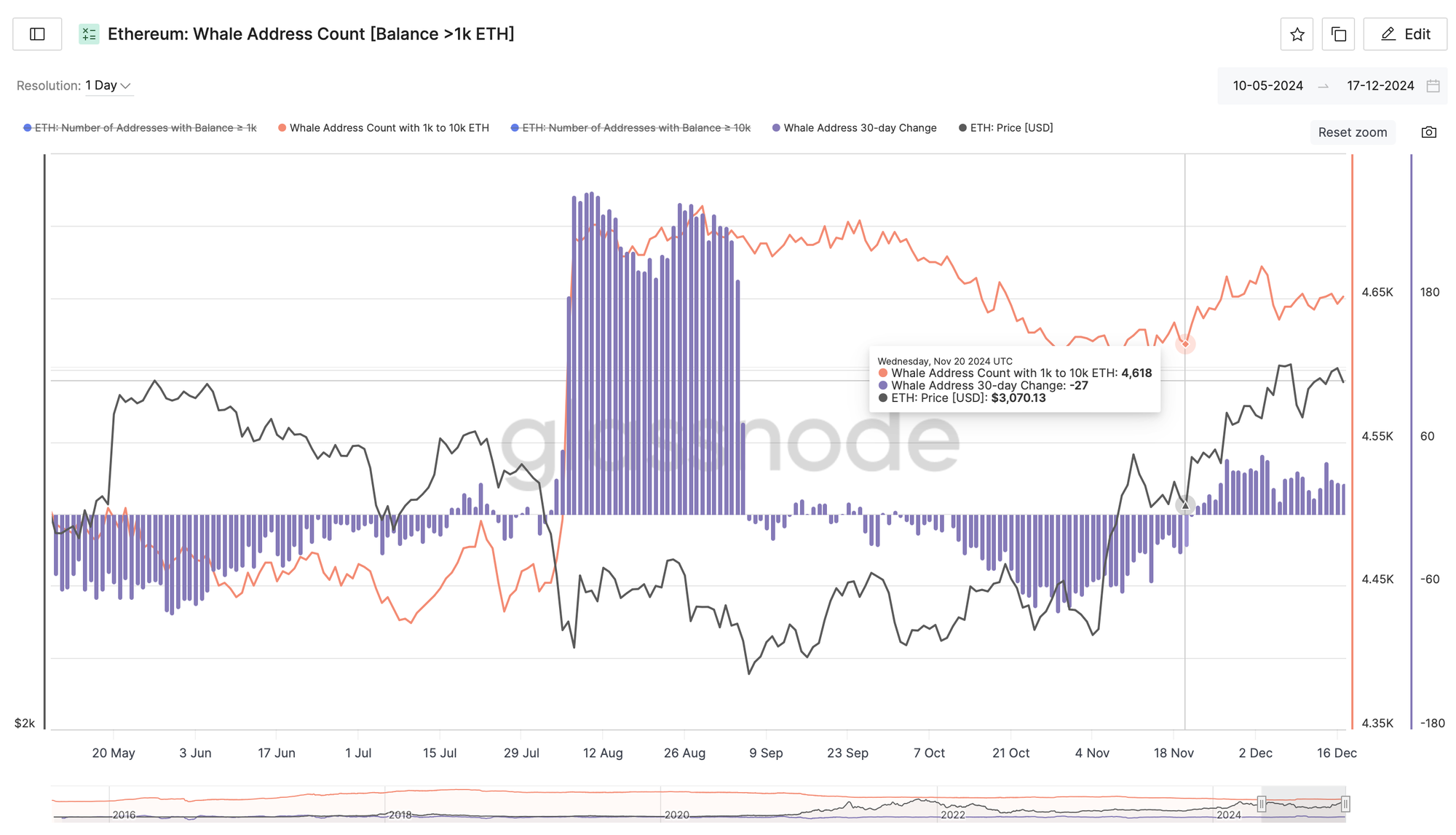 Daily Report 18 Dec 2024