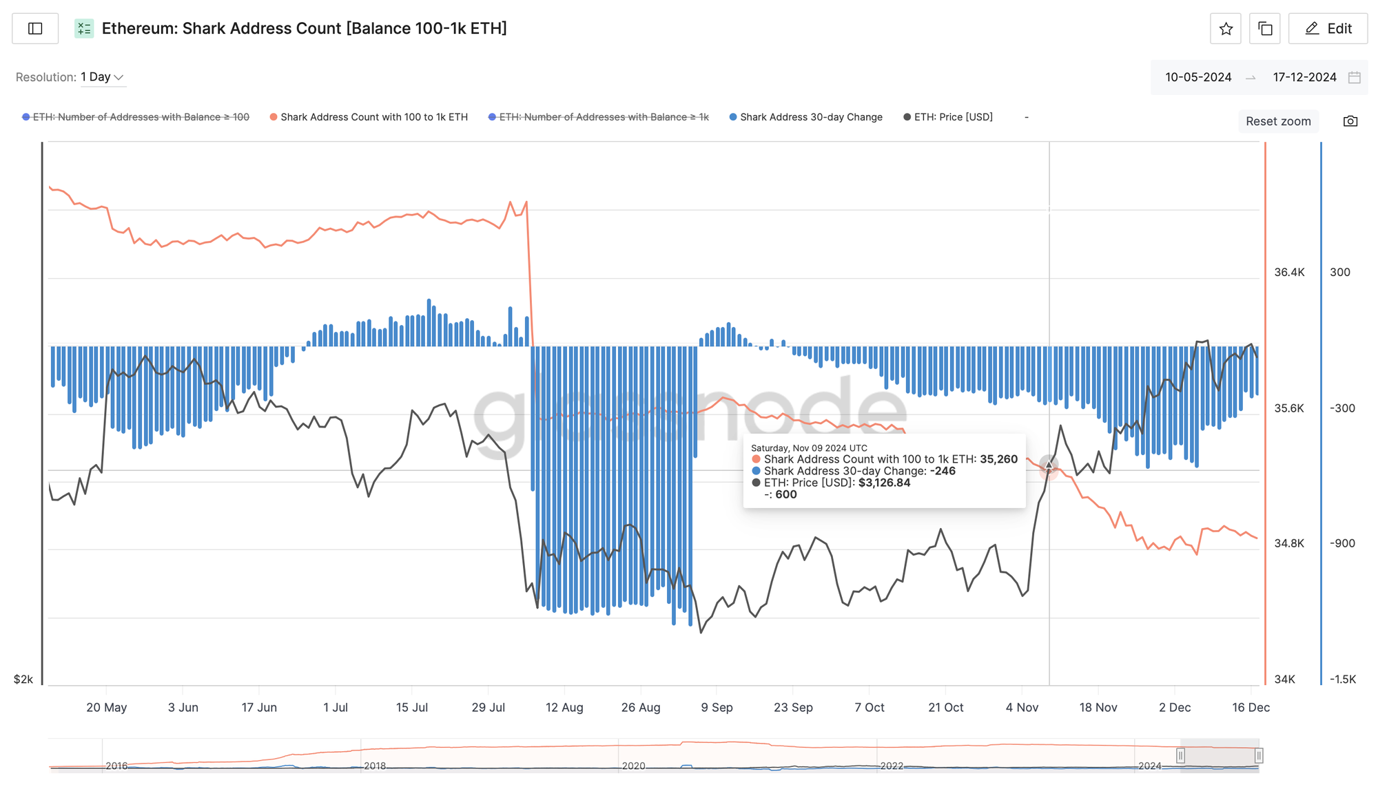 Daily Report 18 Dec 2024